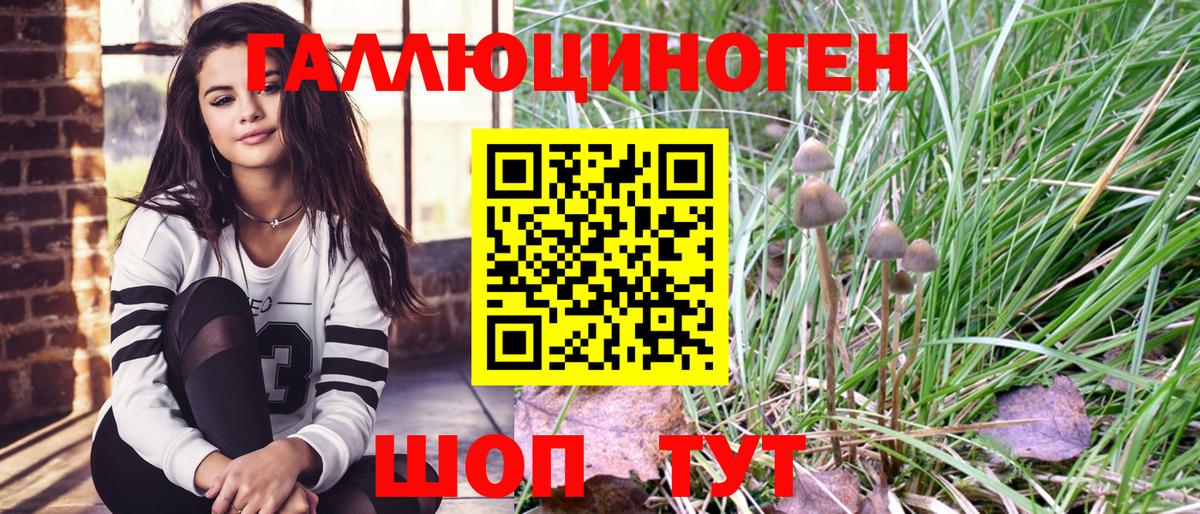 Псилоцибиновые грибы Cubensis Белово
